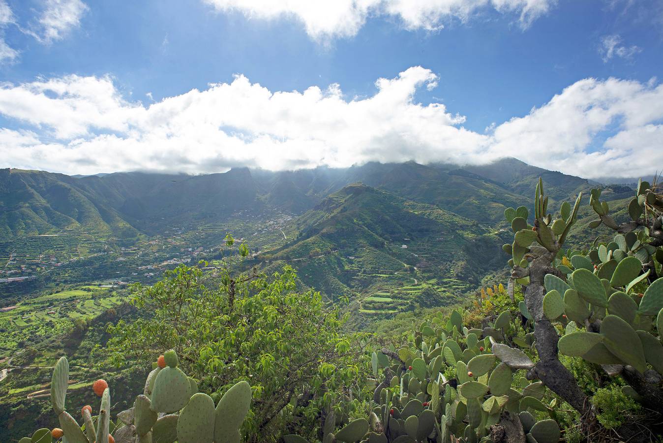 Holiday Home "Ca' Navarro" with Sea View, Terraces & Wi-Fi in El Montañon, Vega de San Mateo