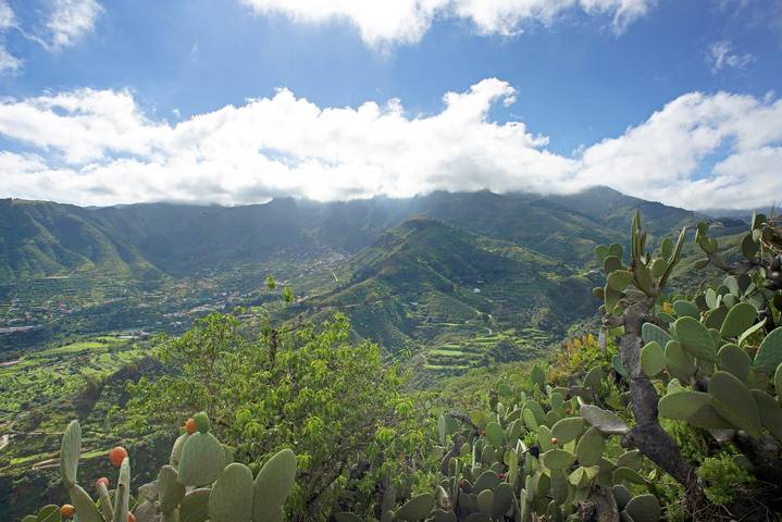 Ferienhaus für 5 Personen, mit Whirlpool und Garten, mit Haustier auf Gran Canaria - 2