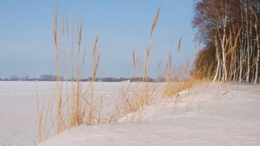 Ferienwohnung für 4 Personen, mit Garten und Terrasse sowie Sauna in Trent - 3