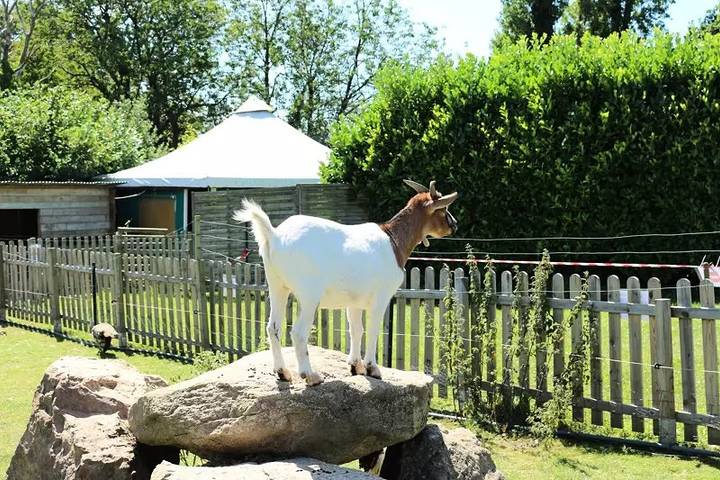 Camping pour 6 personnes, avec piscine en Cotes-d'Armor - 3