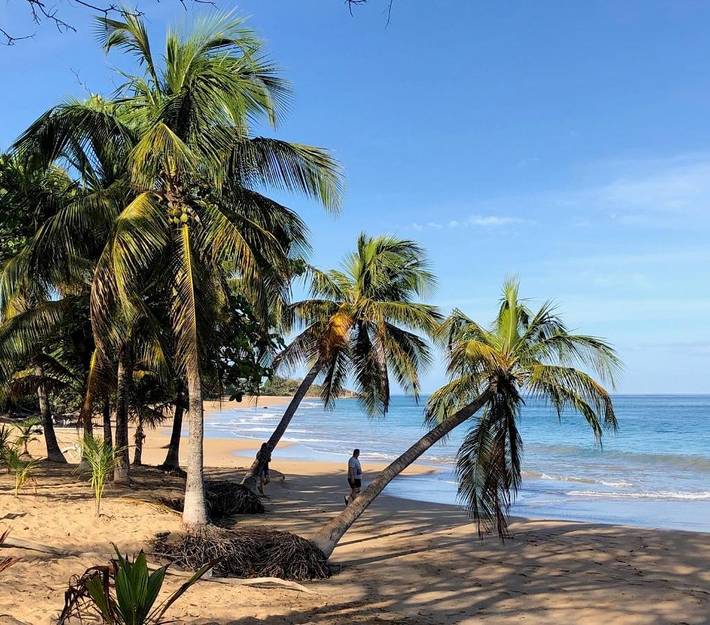 Gîte pour 2 personnes, avec jardin et vue dans Plage de la Perle - 3