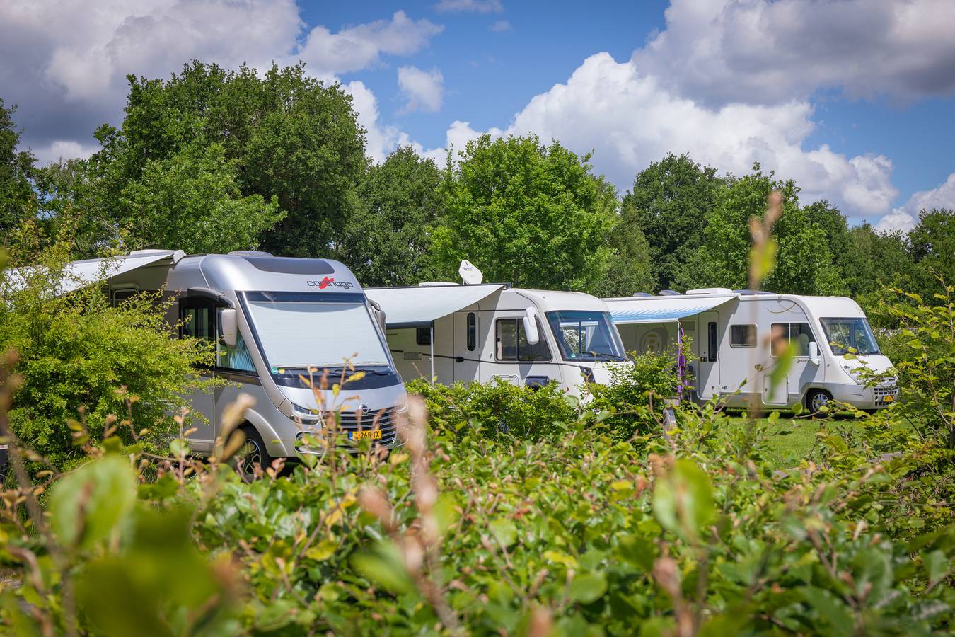 Recreatiepark De Boshoek — Camperplaatsen in Veluwe
