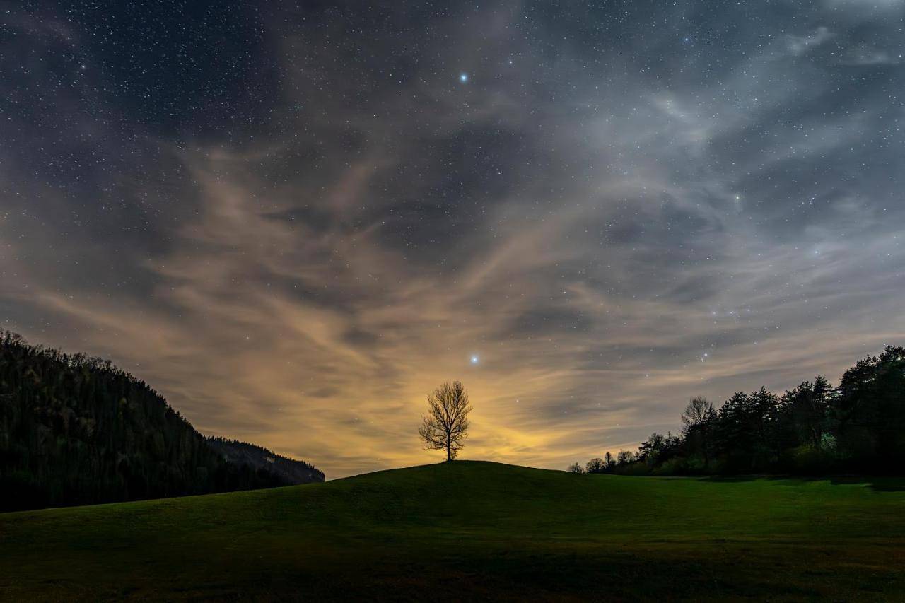 Kota de choux in Choux, Parc naturel régional du Haut-Jura