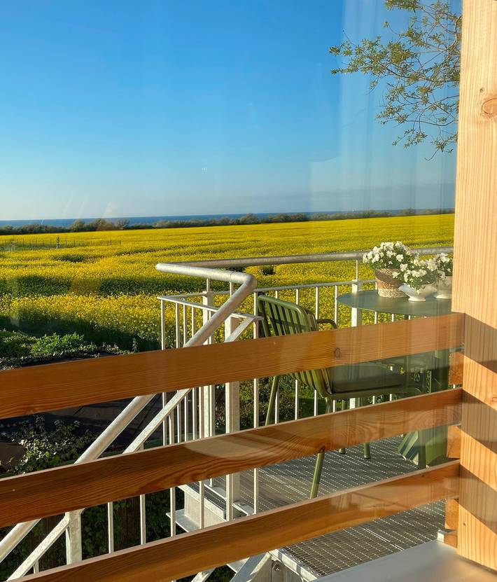 Ferienwohnung für 4 Personen, mit Balkon und Garten sowie Ausblick in Nienhagen - 2