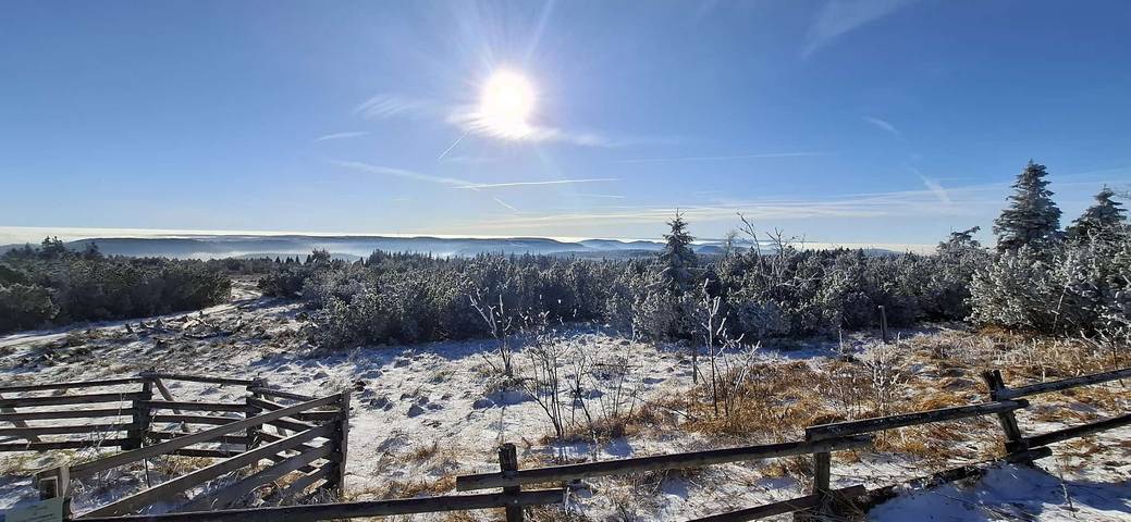 Ferienwohnung für 4 Personen, mit Garten in Rheinau