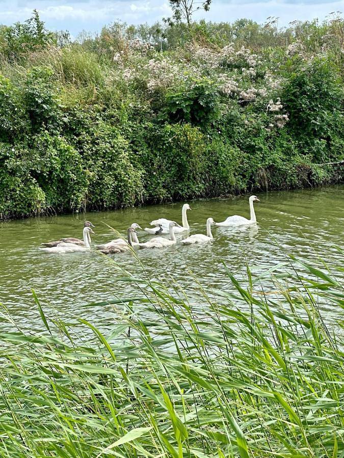 Location de vacances pour 6 personnes, avec vue et jardin à Vix - 2