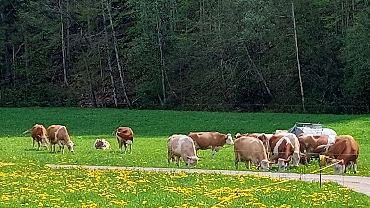 Ganze Ferienwohnung, Ferienwohnung für 3 Personen (40 m²) in Oberwössen in Oberwössen, Unterwössen