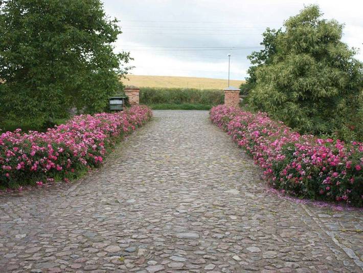 Ferienwohnung für 5 Personen, mit Garten und Ausblick in Papendorf - 2