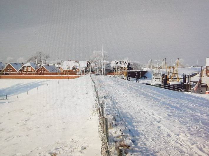 Ferienhaus für 6 Personen, mit Seeblick und Terrasse sowie Sauna und Garten, kinderfreundlich in Jemgum - 3