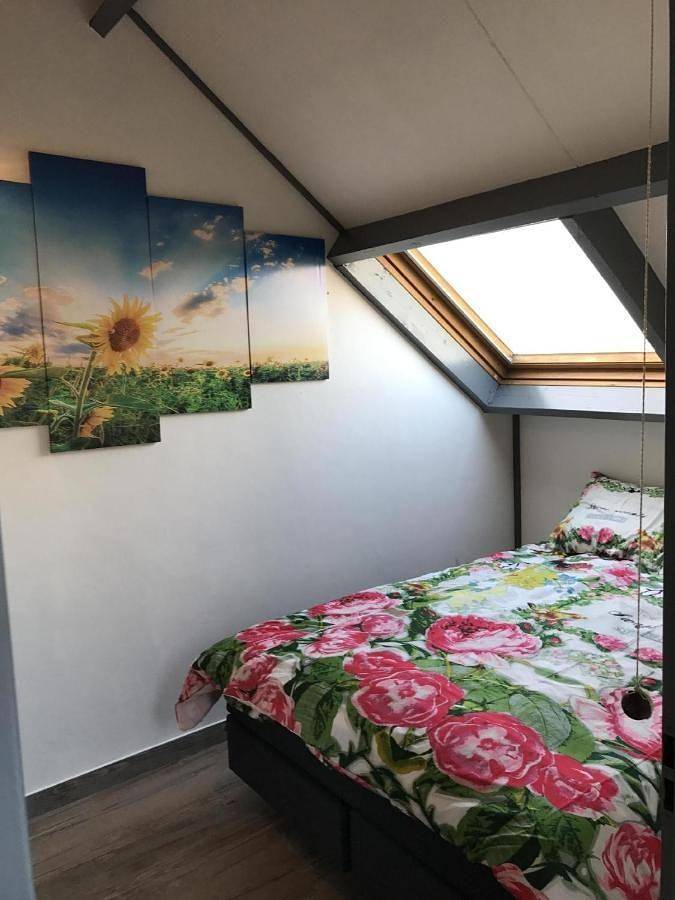 Ferienpark für 4 Personen, mit Garten in Zeeland - 3