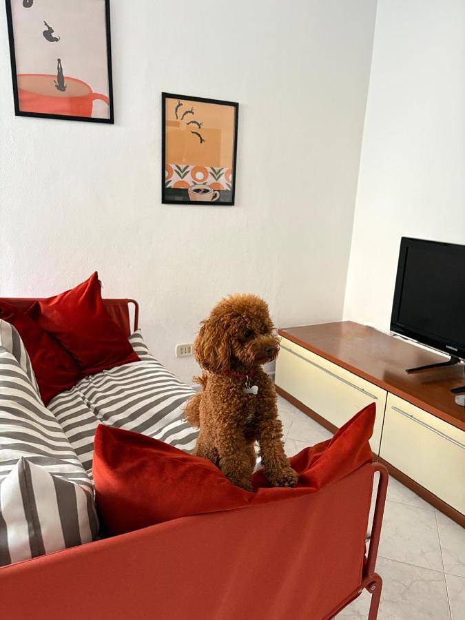 Appartamento per 5 persone, con giardino, con animali domestici in Pesaro