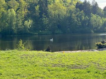 Ferienhaus für 6 Personen in Ludwigswinkel, Pfälzer Wald, Bild 2