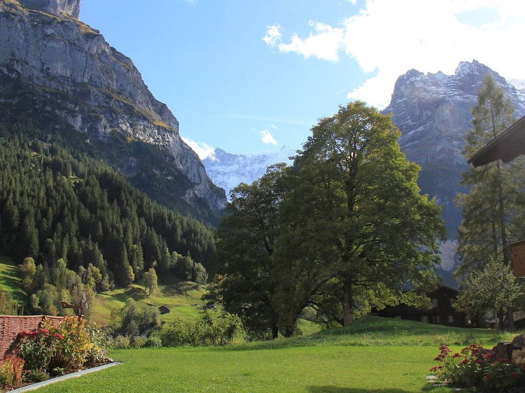 Ferienwohnung mit 1 Schlafzimmer in Schwendi b. Grindelwald, Grindelwald
