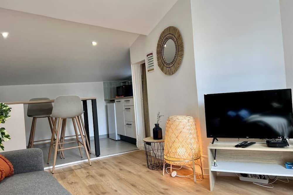 Apartamento entero, F2 \"La Treille\" Historic Center Clermont Fd 3p in Clermont-Ferrand, Parque Natural Regional Volcans d'Auvergne