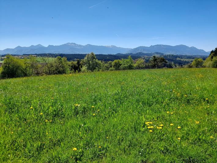 Ganze Ferienwohnung, Gästehaus Mayer - Ferienwohnung 90 qm, 2 Schlafzimmer, Balkon in Rimsting, Chiemsee