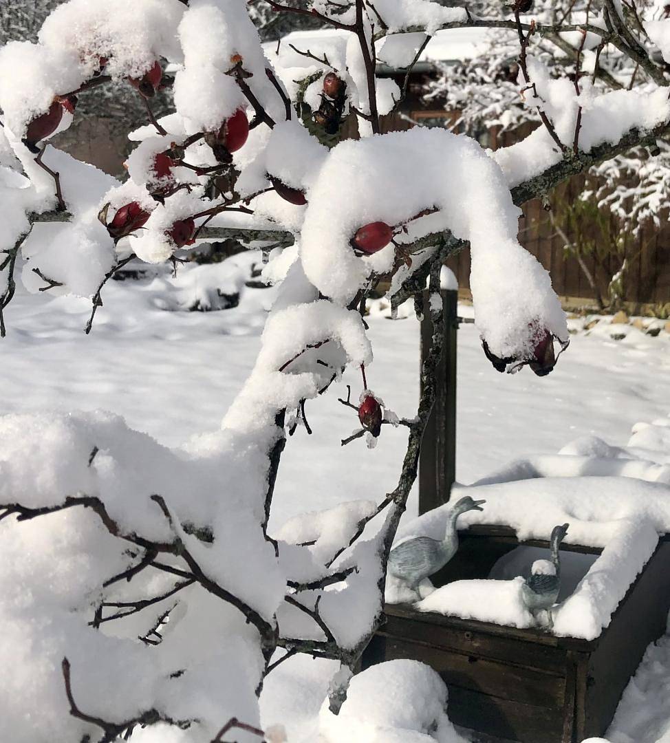 Les Noisetiers in Le Bizot, Doubs (desambiguación)