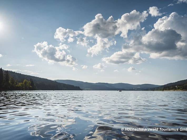 Ferienhaus für 6 Personen, mit Terrasse und Sauna in Schluchsee