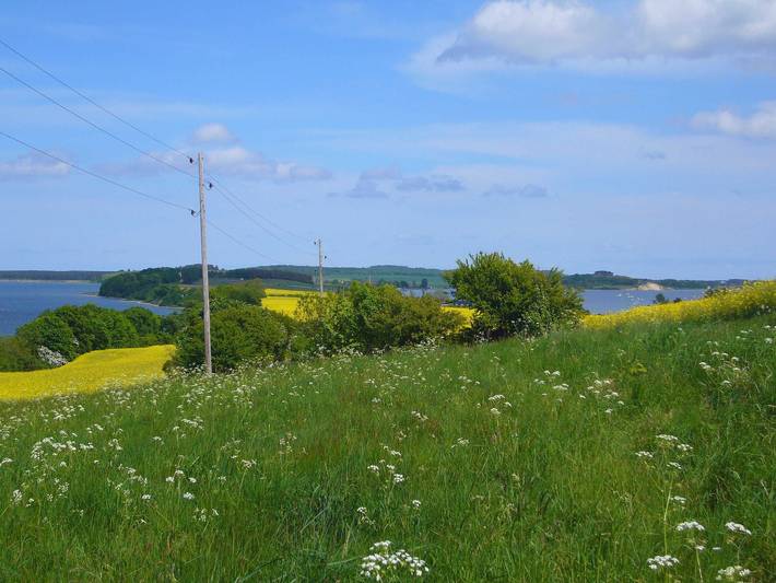 Ferienwohnung für 4 Personen, mit Terrasse, mit Haustier in Middelhagen - 4