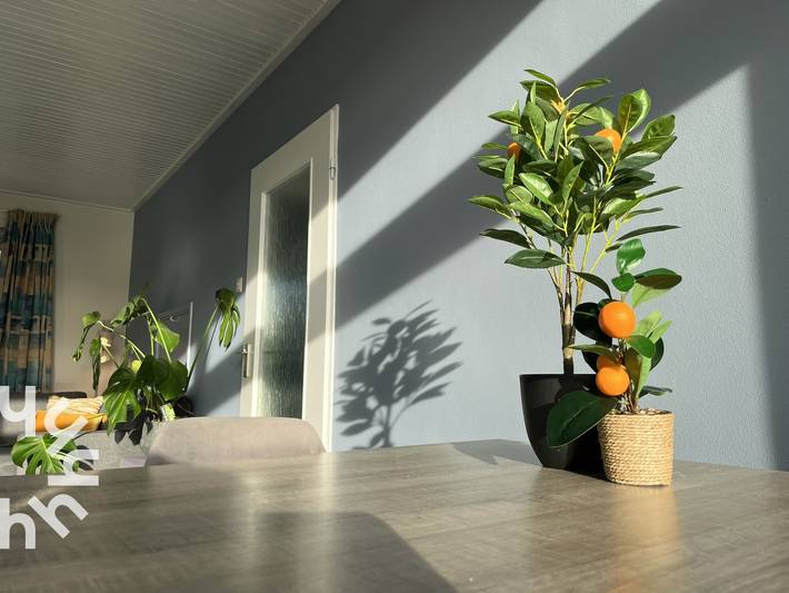 Ferienhaus für 4 Personen, mit Terrasse und Garten in Westkapelle - 4