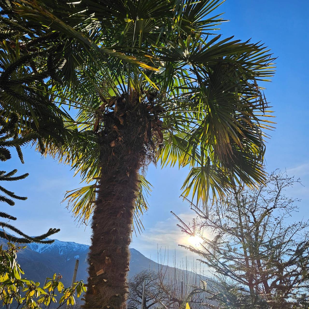 Zimmer 'Garni Unterweggütl Fußballzimmer' mit Bergblick, Gemeinschaftspool und Wlan in Naturns, Texelgruppe