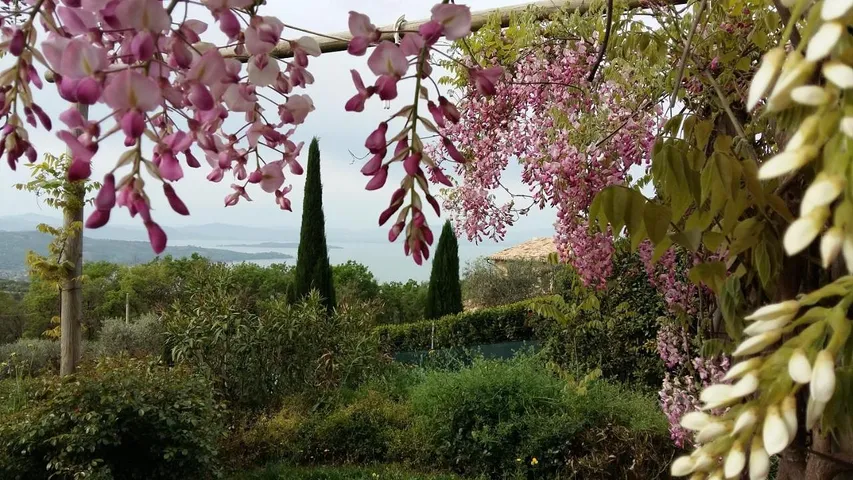 Apartamento de vacaciones para 2 personas, con vistas además de jardín y vistas al lago - 1