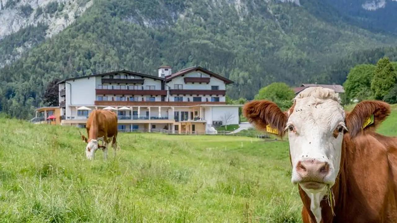 Doppelzimmer für 2 Personen (18 m²) in Jenbach in Jenbach, Bezirk Schwaz