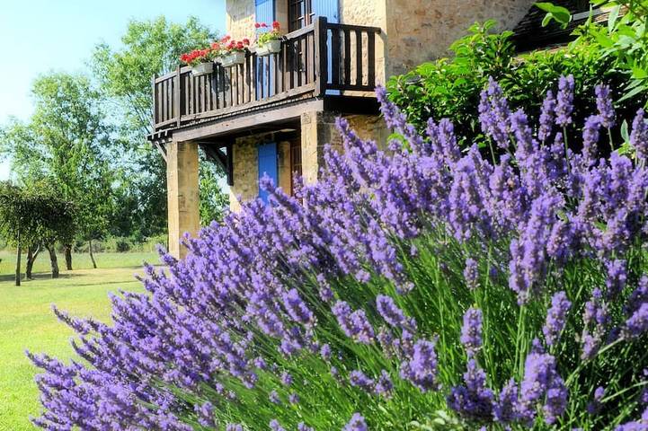 Maison de vacances pour 6 personnes, avec terrasse et jardin ainsi que jacuzzi et piscine, animaux acceptés