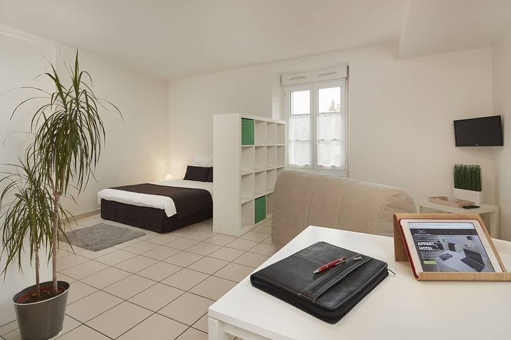 Apartamento entero, Estudio-Vue sur château-Superior-Baño privado con ducha in Ancenis, Valle del Loira
