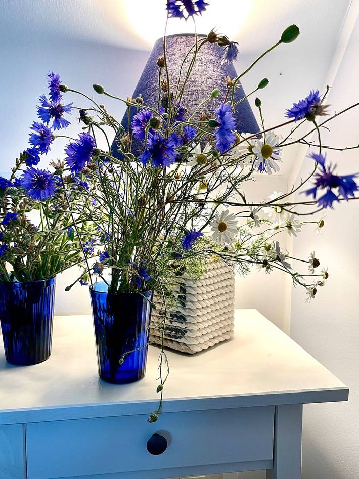 Ferienhaus für 4 Personen, mit Garten und Terrasse in Wismarer Bucht - 4