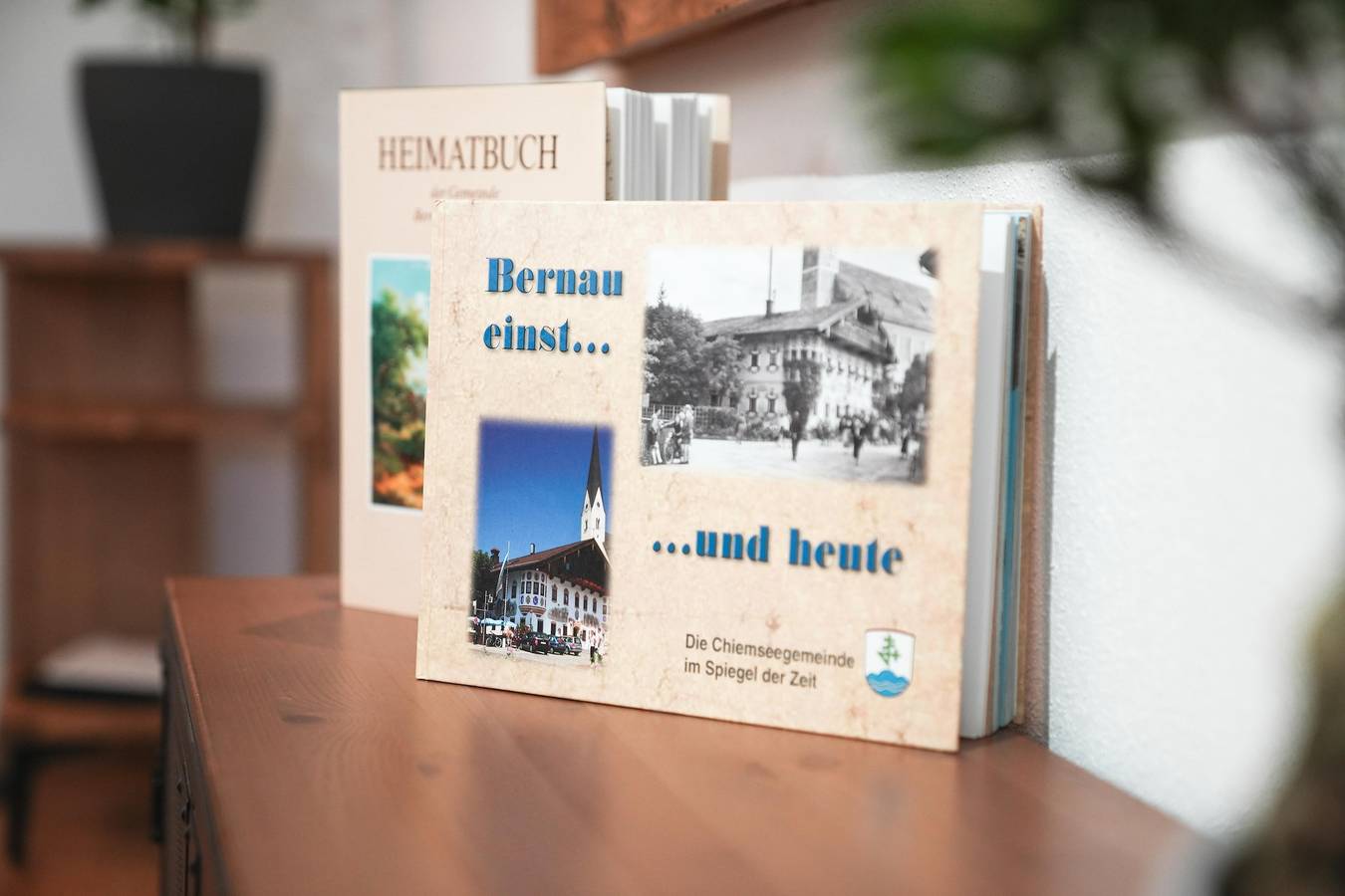 Ganze Ferienwohnung, Ferienwohnung Gipfelblick - Ferienwohnung Gipfelblick mit Balkon, 90qm in Bernau am Chiemsee, Chiemsee