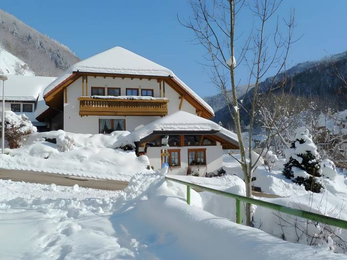 Ferienwohnung für 4 Personen, mit Balkon in Todtnau - 2