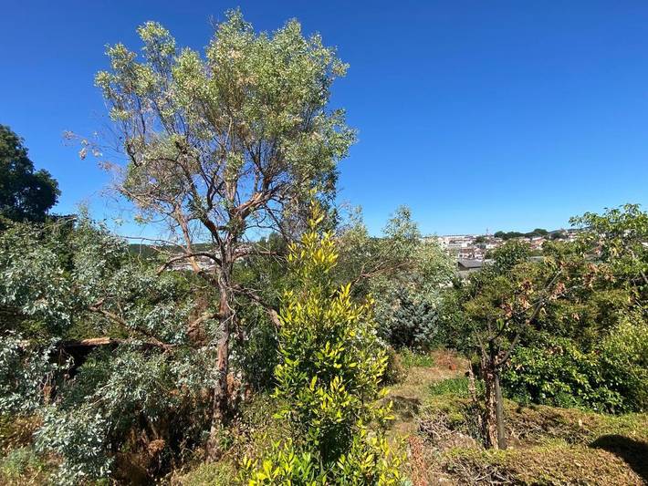 Gîte pour 3 personnes, avec Terrasse ainsi que Jardin et Vue à Coulounieix-Chamiers - 2
