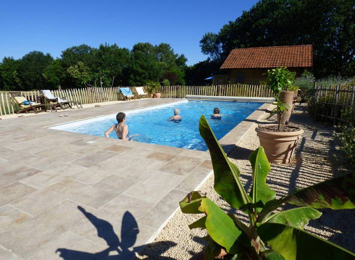 Gîte pour 2 personnes, avec terrasse ainsi que jardin et piscine à Saint-Avit-Sénieur - 3