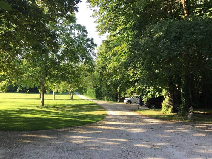 Manor in the Countryside: An Exceptional Stay Amidst Nature, History, and Warmth in Cellettes, Blois region