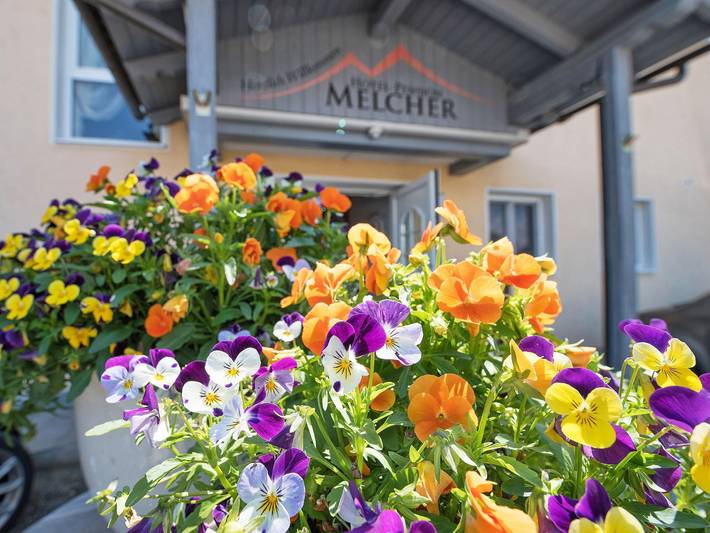 Hotel-Pension Melcher - Einzelzimmer in Karawanken und Bachergebirge, Villach