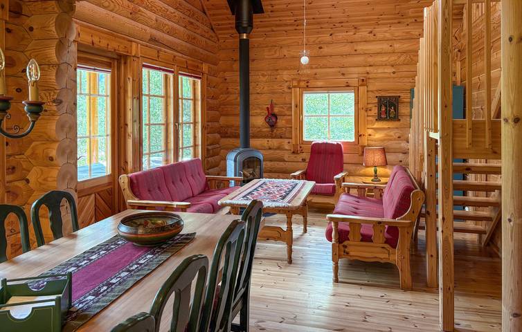 Ferienhaus für 8 Personen, mit Terrasse und Sauna, mit Haustier in Ost-Norwegen - 4