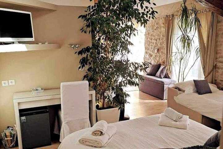 Location de vacances pour 12 personnes à Saint-Hilaire-de-Brethmas - 4