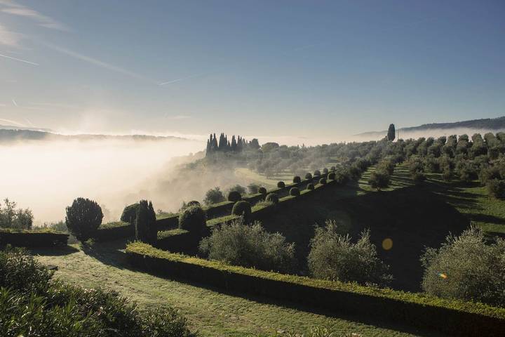 Ganzes Studio, Torre A Cona Wine Estate Classic Room in Rignano sull'Arno, Valdarno