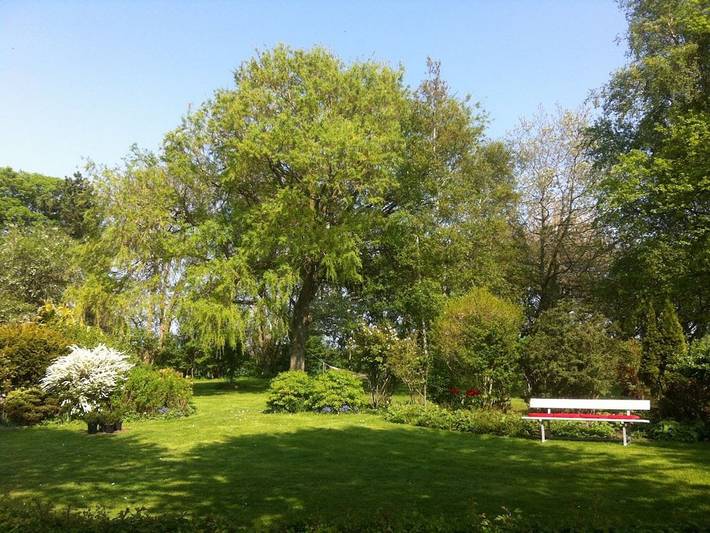 Ferienhaus für 4 Personen, mit Balkon und Garten in Altjellingsdorf - 4