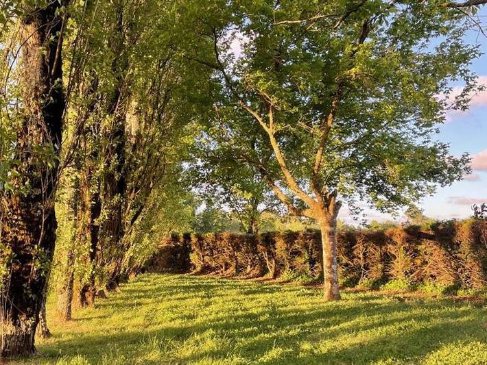 Camping für 2 Personen in Landes - 4