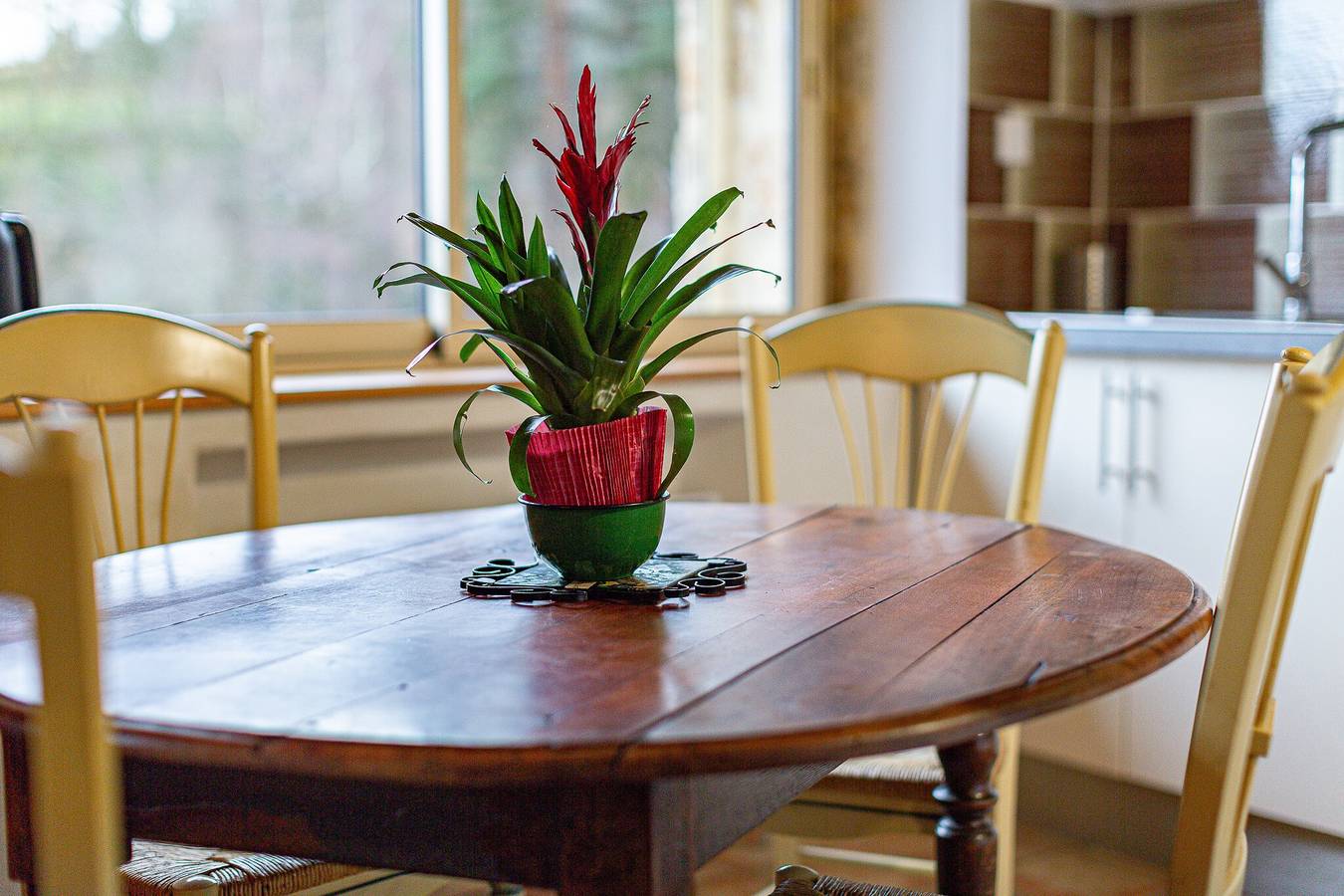 Maison de vacances « Loft de Charme La Rose Désirée » avec vue montagne et Wi-Fi in Saint-Jean-Chambre, Parc naturel régional des Monts d'Ardèche