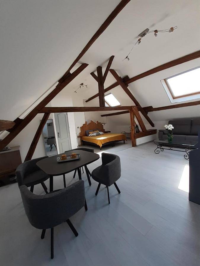 Chambre d’hôte pour 4 personnes, avec jardin dans Parc naturel régional de la Montagne de Reims - 3