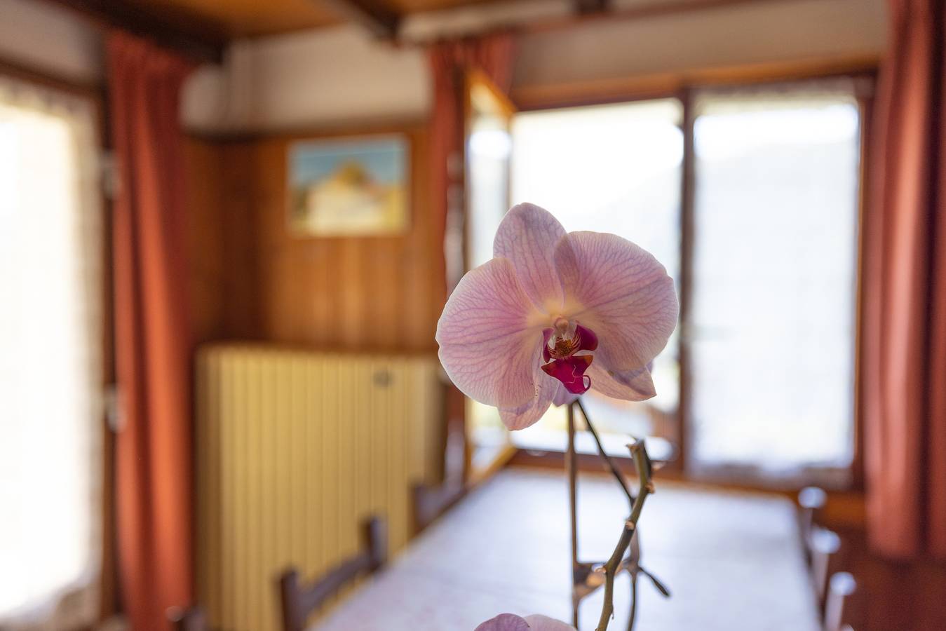 Entire apartment, Apartment La rose des vents N 2 with Mountain View, Balcony & Wi-Fi in Châtel, Les Portes du Soleil