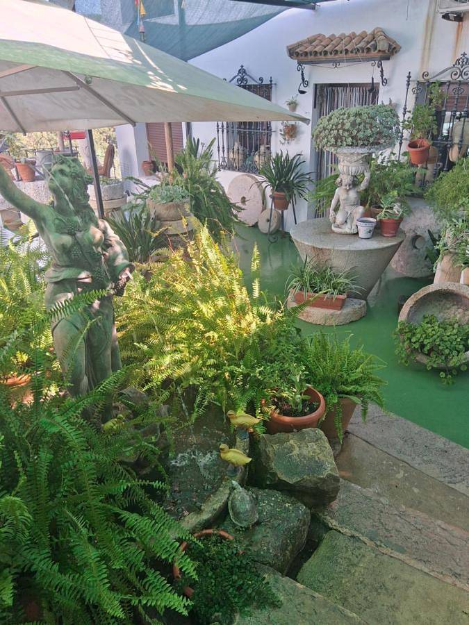 Casa rural para 4 personas, con Balcón y Terraza además de Jardín y Vistas en Sierra de Grazalema - 3