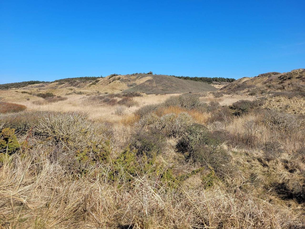 6 Personen Ferienhaus in Hirtshals-By Traum in Hirtshals, Tannisbucht