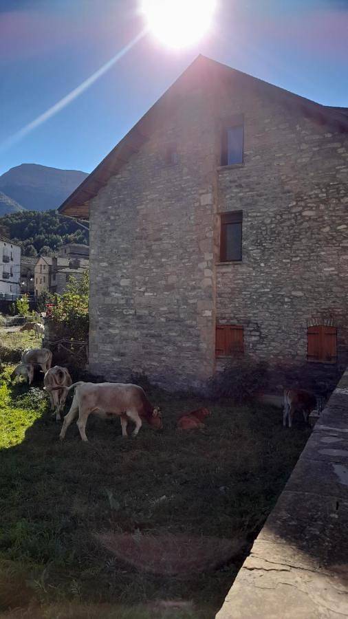 Casa rural para 4 personas, con jardín en Fiscal - 3