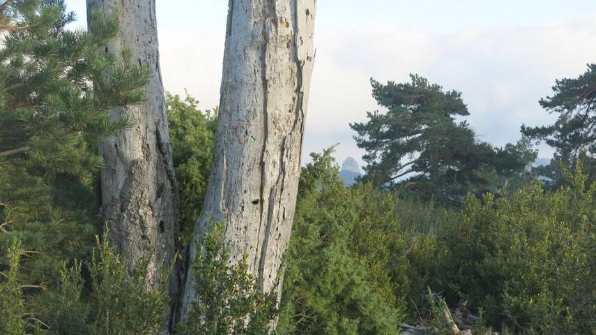 Casa rural para 5 personas, con jardín y vistas, Familias con niños en Provincia de Tarragona - 4