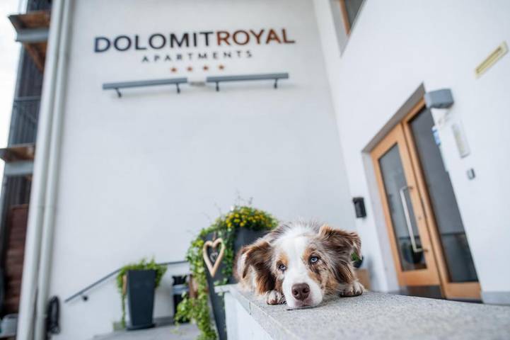 Ferienwohnung für 4 Personen, mit Sauna und Garten sowie Ausblick, mit Haustier in Sillian - 3