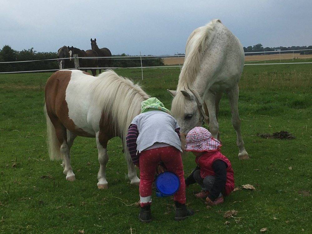 Reiterhof Lausen - Strohboden in Stangheck, Schleswig-Flensburg
