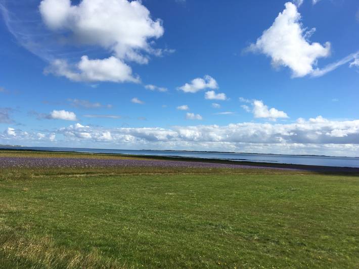 Ferienwohnung für 2 Personen, mit Garten, mit Haustier in Biikebrennen - 3